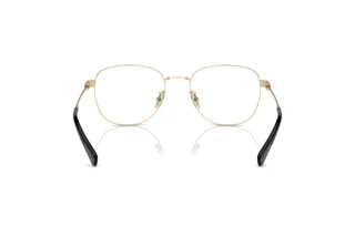 [glasses-back-view] Coach HC5163 (9429)