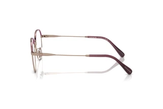 [glasses-side-view] Coach HC5164D (9331)