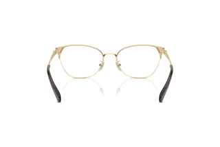 [glasses-back-view] Coach HC5169 (9436)