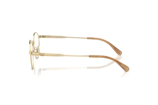 Sidovy Coach HC5173TD (9005)