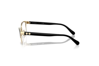 Sivukuva Coach HC5176 (9435)