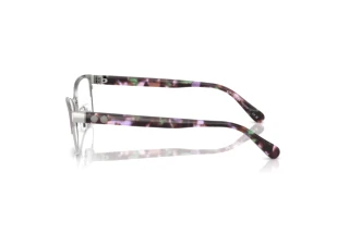 [glasses-side-view] Coach HC5176 (9447)