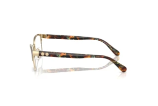 [glasses-side-view] Coach HC5176 (9449)