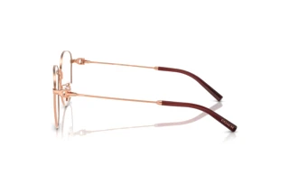 [glasses-side-view] Coach HC5179D (9331)