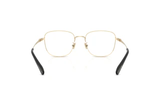 Vedere din spate Coach HC5198TD (9005)