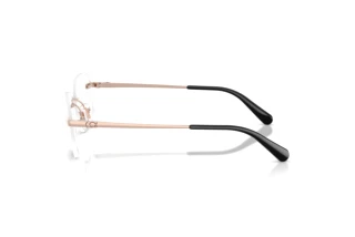 [glasses-side-view] Coach HC5206D (9407SB)