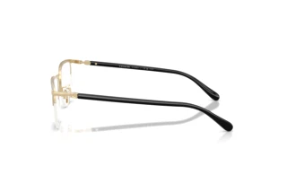 [glasses-side-view] Coach HC5208TD (9476)