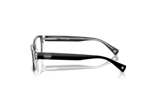 [glasses-side-view] Coach BROOKLYN (HC6040 - 5728)