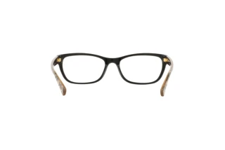 [glasses-back-view] Coach HC6082 (5353)