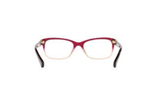 Vy bakifrån Coach HC6089 (5484)