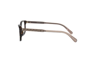 [glasses-side-view] Coach HC6143 (5120)