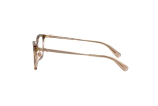 [glasses-side-view] Coach HC6146U (5561)