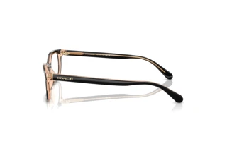 Πλευρική όψη Coach HC6174 (5781)