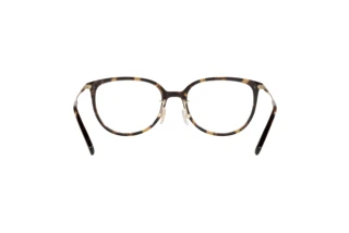 Vy bakifrån Coach HC6175D (5120)