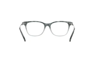 [glasses-back-view] Coach HC6176 (5651)