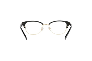 [glasses-back-view] Coach HC6195 (5002)