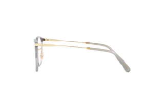 [glasses-side-view] Coach HC6214D (5751)