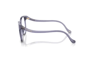 [glasses-side-view] Coach HC6218U (5568)