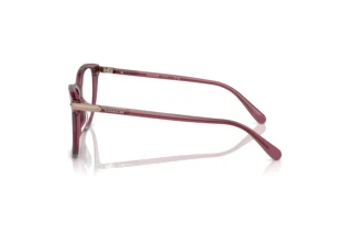 [glasses-side-view] Coach HC6220U (5773)