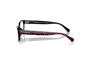 [glasses-side-view] Coach HC6221U (5783)