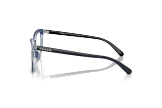 [glasses-side-view] Coach HC6222U (5787)