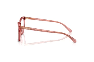 [glasses-side-view] Coach HC6222U (5836)