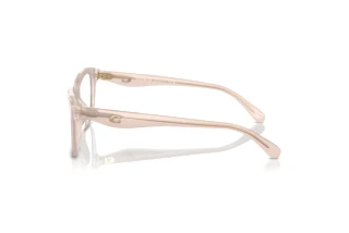 [glasses-side-view] Coach HC6231U (5809)