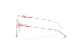 [glasses-side-view] Coach HC6234U (5111)