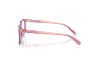 [glasses-side-view] Coach HC6235U (5823)