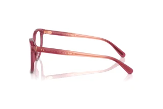 [glasses-side-view] Coach HC6236U (5824)