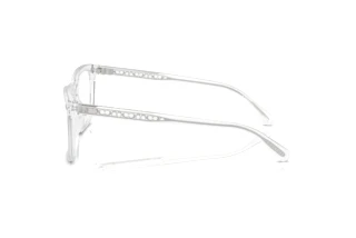 [glasses-side-view] Coach HC6238U (5111)