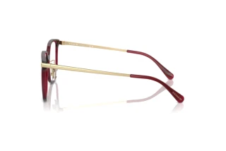 [glasses-side-view] Coach HC6241D (5824)