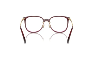 [glasses-back-view] Coach HC6241D (5824)