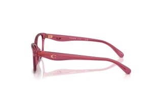 [glasses-side-view] Coach HC6243U (5824)