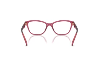 [glasses-back-view] Coach HC6243U (5824)