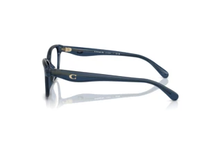 Sivukuva Coach HC6243U (5846)