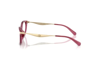 [glasses-side-view] Coach HC6245U (5824)