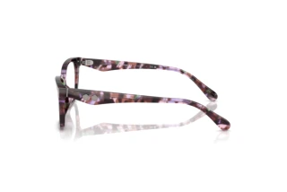 [glasses-side-view] Coach HC6248U (5843)