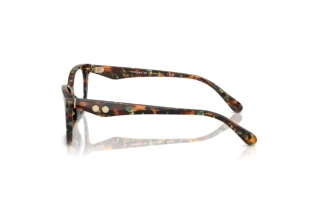 [glasses-side-view] Coach HC6248U (5844)