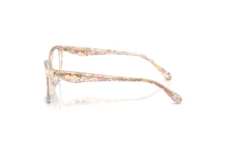 [glasses-side-view] Coach HC6248U (5894)