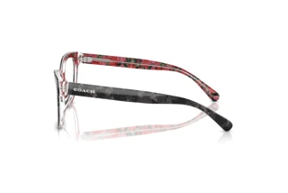 [glasses-side-view] Coach HC6249U (5856)