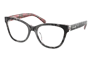 Coach HC6249U 5856 Black Tortoise/Pink Floral
