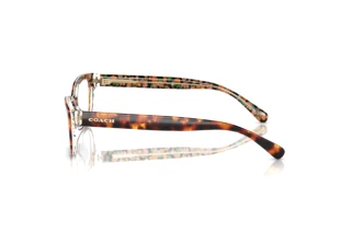 [glasses-side-view] Coach HC6250U (5857)