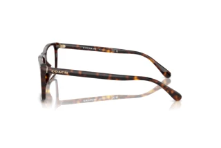 [glasses-side-view] Coach HC6251U (5120)