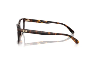 [glasses-side-view] Coach CY046 (HC6252U - 5120)