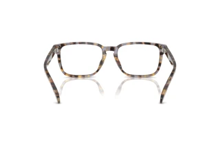 [glasses-back-view] Coach CY046 (HC6252U - 5851)