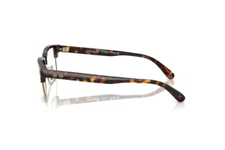 [glasses-side-view] Coach HC6253 (5120)