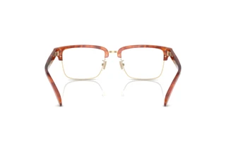 [glasses-back-view] Coach HC6253 (5774)