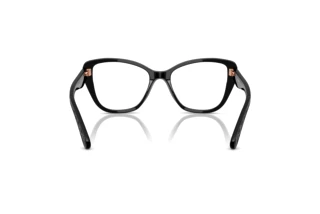 [glasses-back-view] Coach HC6255U (5002)