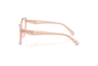 [glasses-side-view] Coach HC6255U (5863)